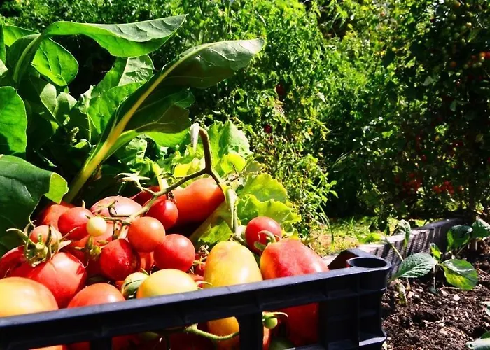 Appartement Agreste *