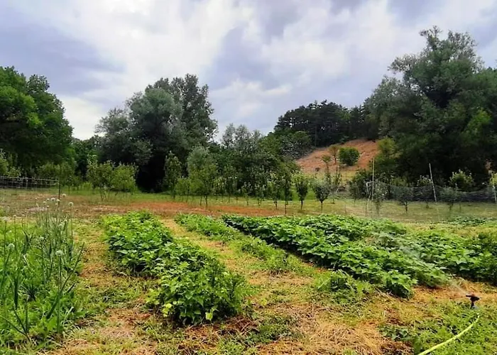 Appartement Agreste *