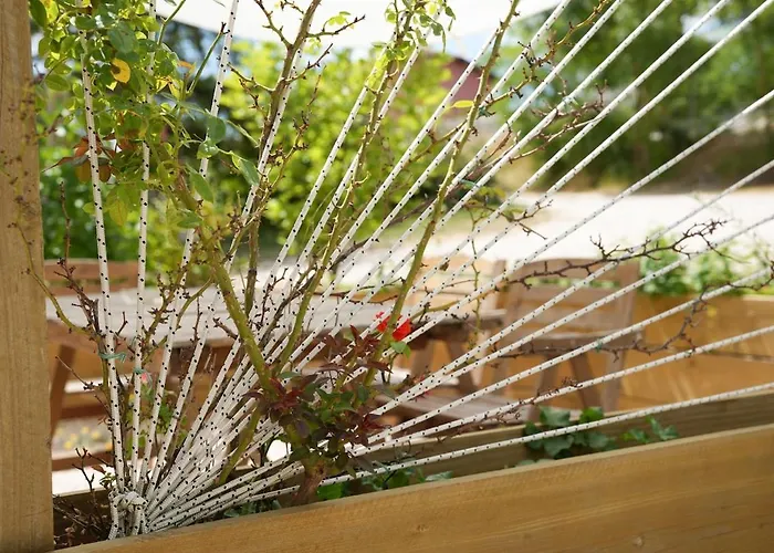 Appartement Agreste Sassoferrato