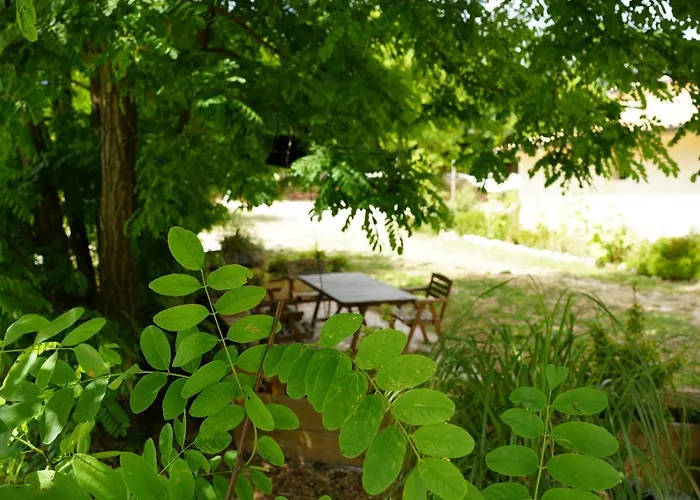 Agreste Sassoferrato